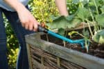 GARDENA combisystem-Kleingrubber 8921-20 mit robusten Zinken zum Lockern und Belüften des Bodens
