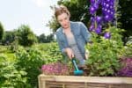 GARDENA combisystem-Blumenrechen mit robusten Zinken zum Lockern und Glätten der Erde